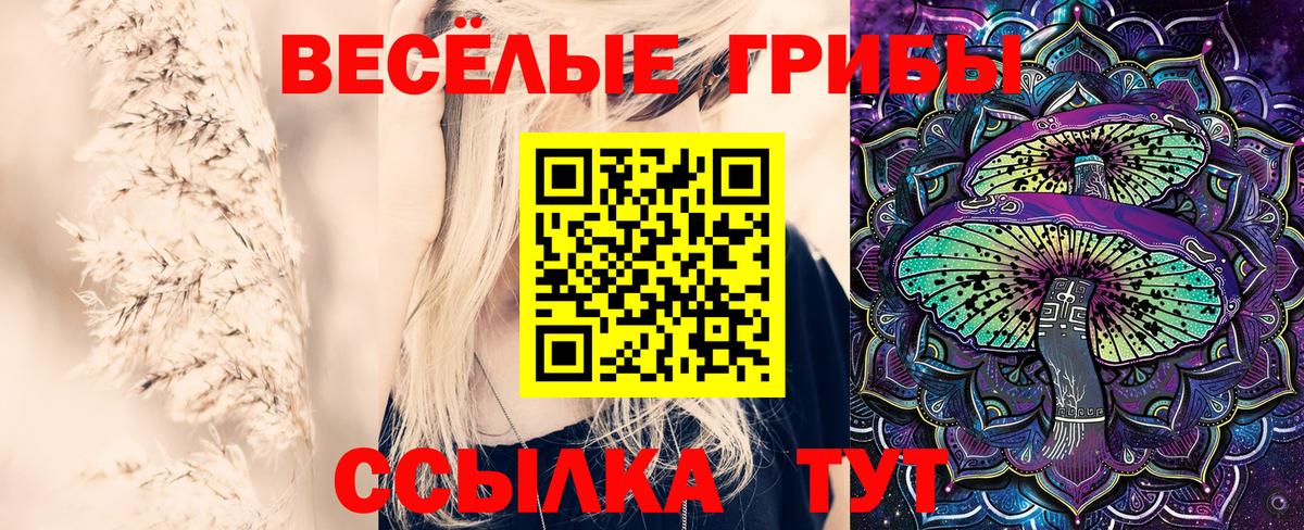 Псилоцибиновые грибы мухоморы Белая Калитва