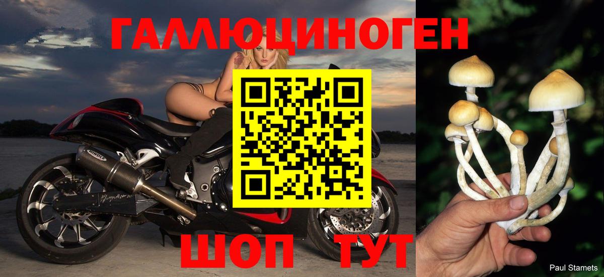 Псилоцибиновые грибы ЛСД  Белая Калитва 